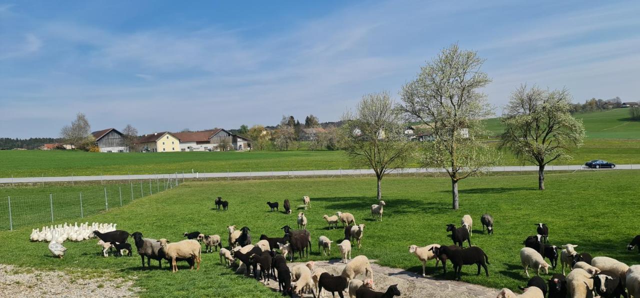 Landgasthof Entenwirt Tarsdorf Luaran gambar