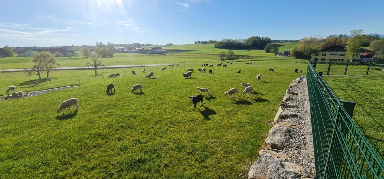 Landgasthof Entenwirt Tarsdorf Luaran gambar