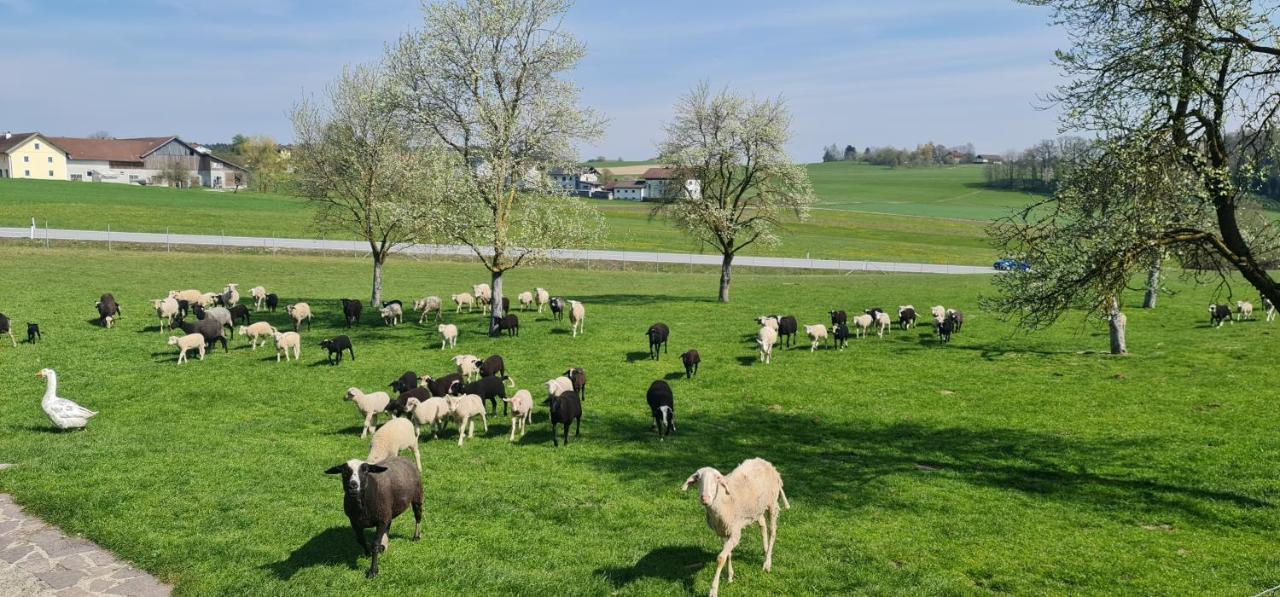 Landgasthof Entenwirt Tarsdorf Luaran gambar