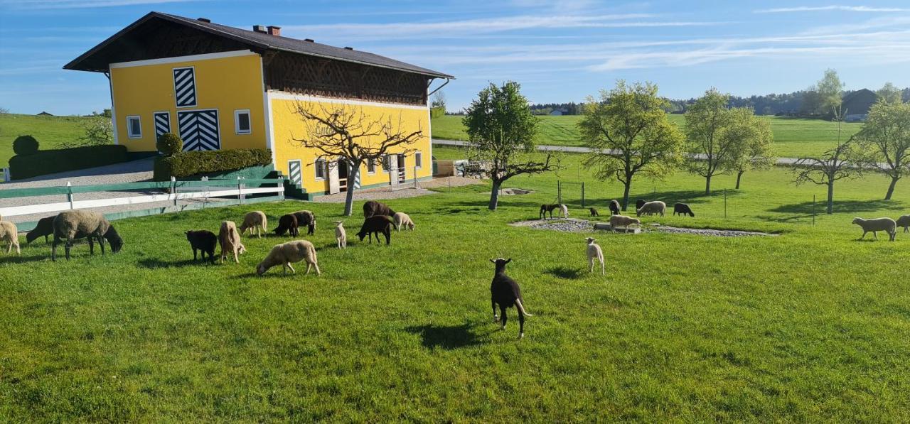 Landgasthof Entenwirt Tarsdorf Luaran gambar