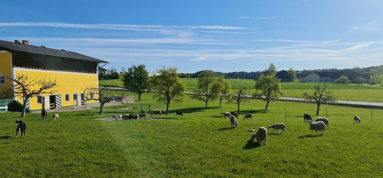 Landgasthof Entenwirt Tarsdorf Luaran gambar
