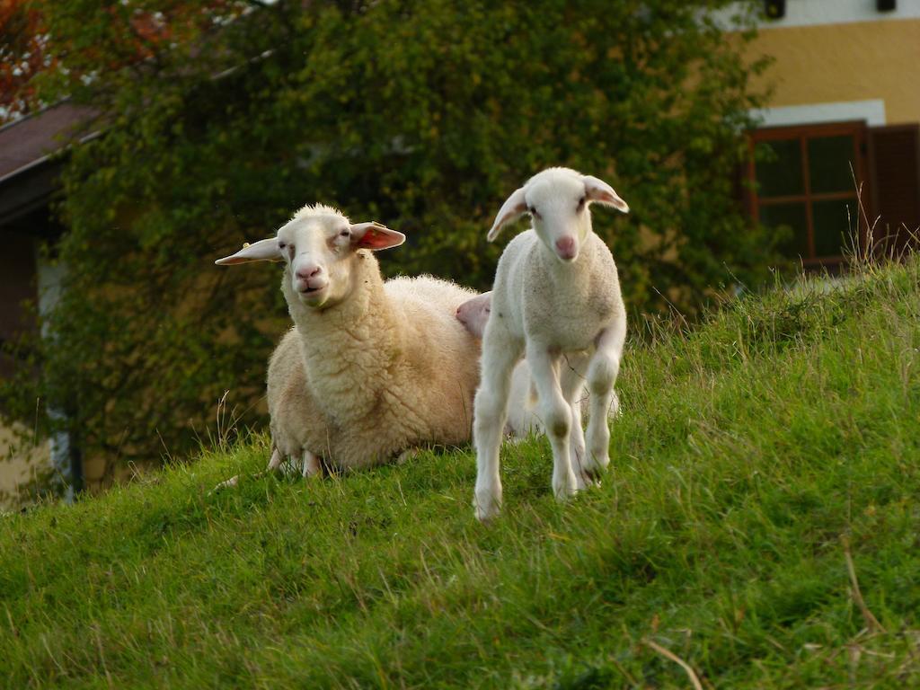 Landgasthof Entenwirt Tarsdorf Luaran gambar