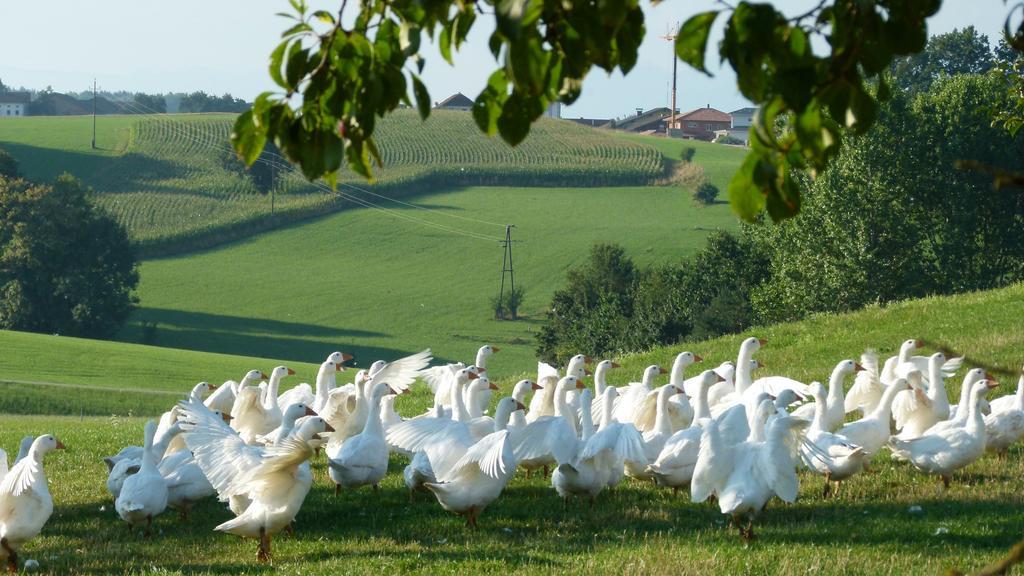 Landgasthof Entenwirt Tarsdorf Luaran gambar